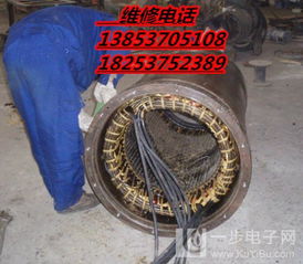 寧陽大型電機(jī)與高壓直流勵磁電機(jī)維修服務(wù)