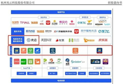 從“阿里系光環(huán)”到“全域賽道” SaaS第一股光云科技如何打破成長天花板？